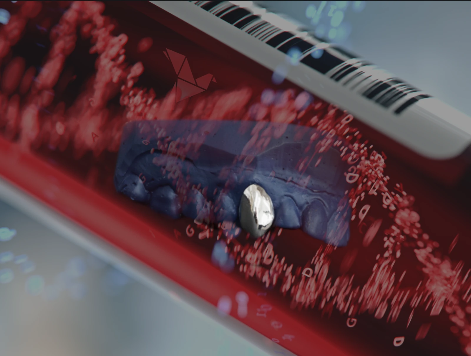 PrimeGrillz-Chrom_Grillz_Chromosom_P1_ PrimeGrillz-Chrom_Grillz_Chromosom_P1_