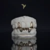 PrimeGrillz-Gold Grillz-RudeTeen-P1